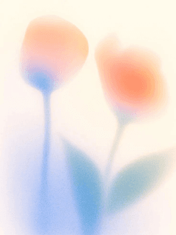 Mission decorative tulips